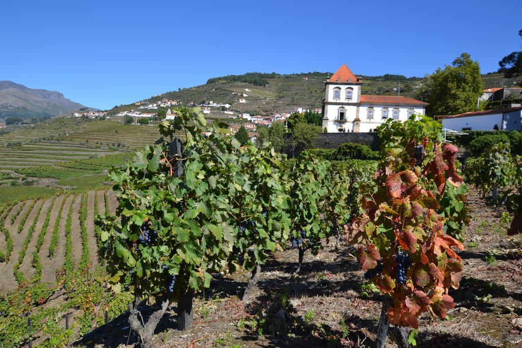Casa Das Torres De Oliveira เมเซาฟริโอ ภายนอก รูปภาพ