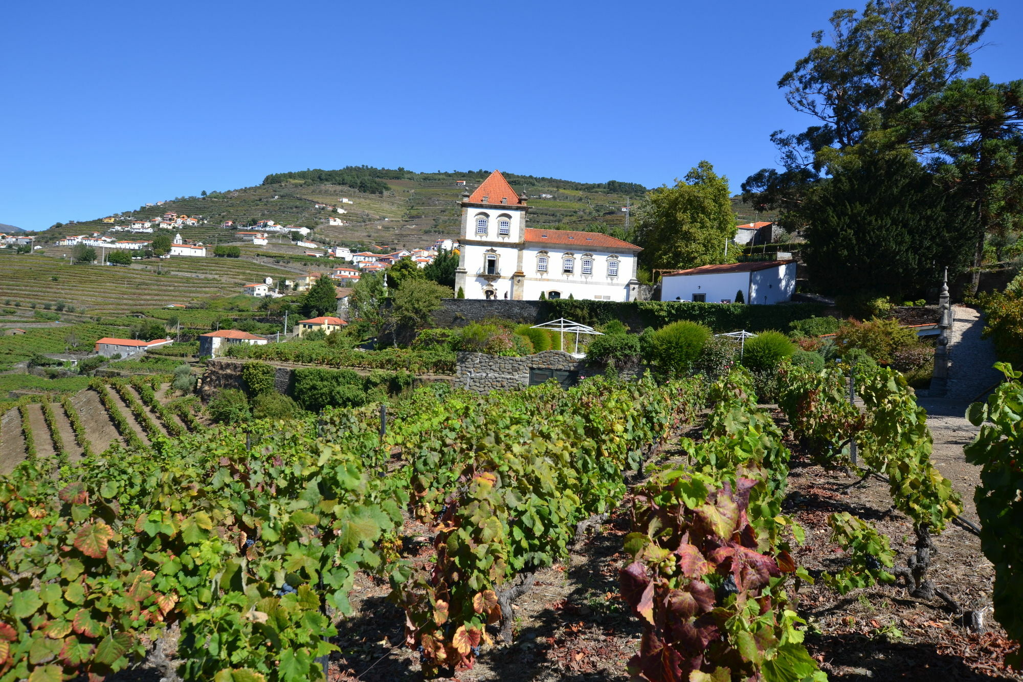 Casa Das Torres De Oliveira เมเซาฟริโอ ภายนอก รูปภาพ