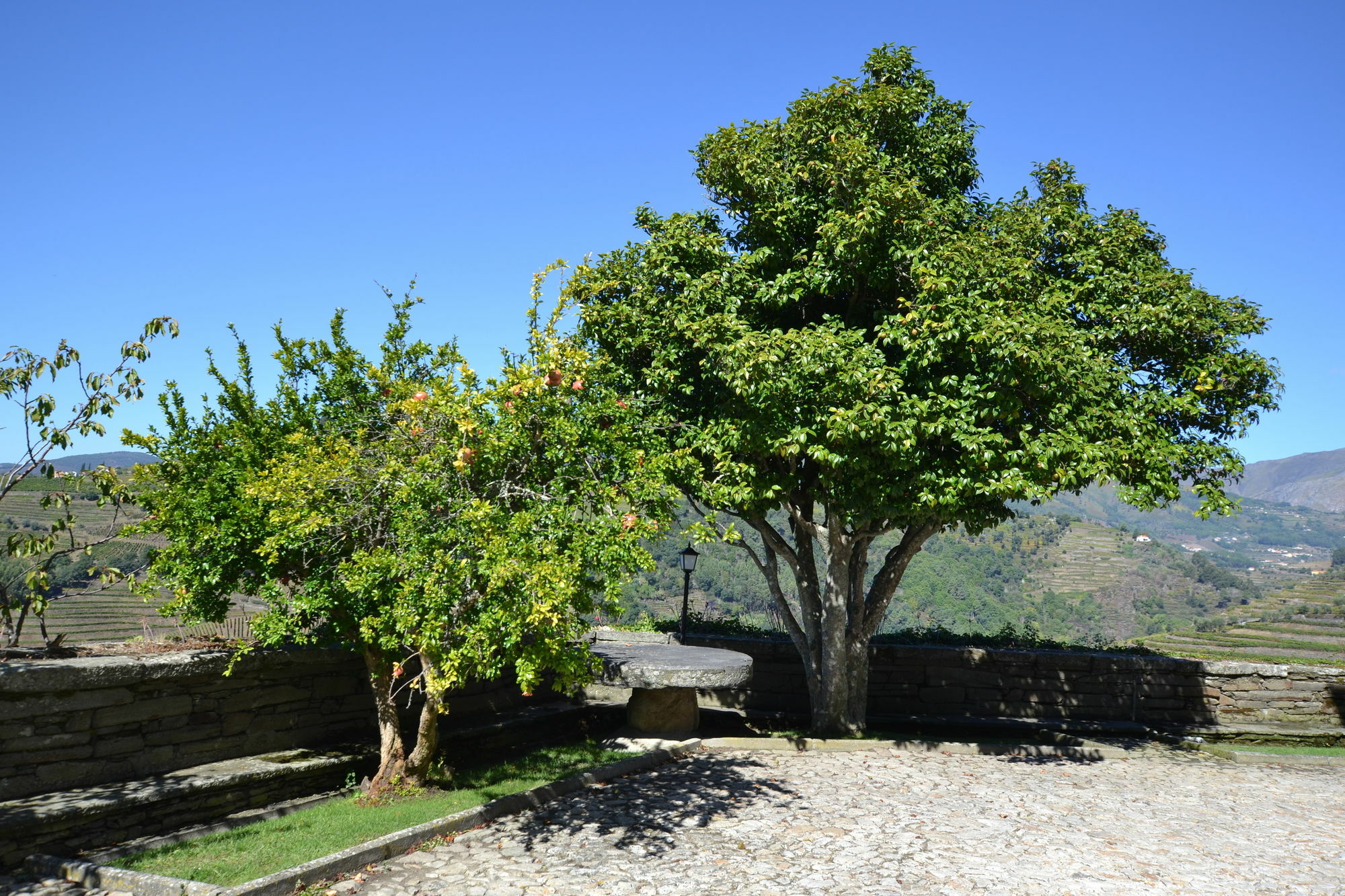 Casa Das Torres De Oliveira เมเซาฟริโอ ภายนอก รูปภาพ