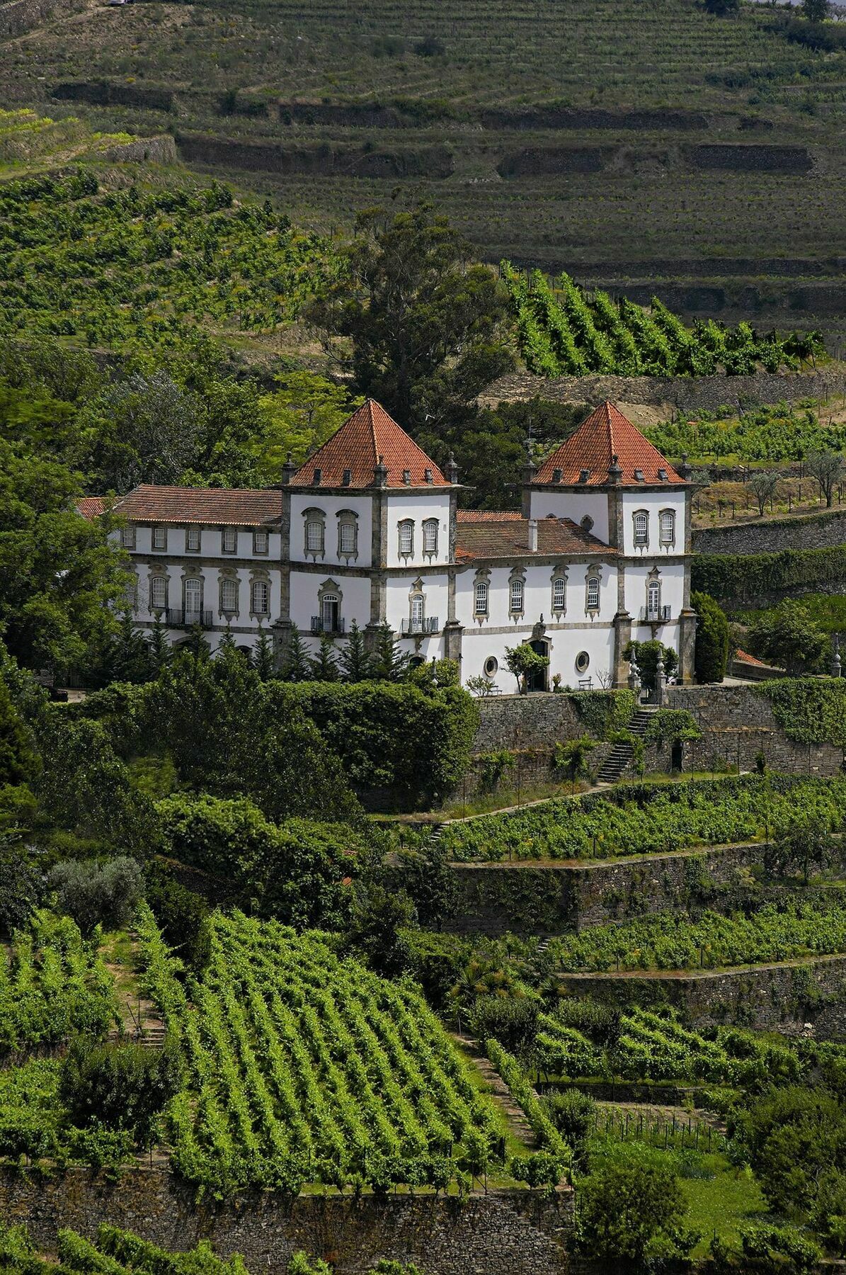 Casa Das Torres De Oliveira เมเซาฟริโอ ภายนอก รูปภาพ