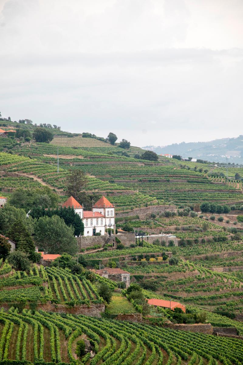 Casa Das Torres De Oliveira เมเซาฟริโอ ภายนอก รูปภาพ